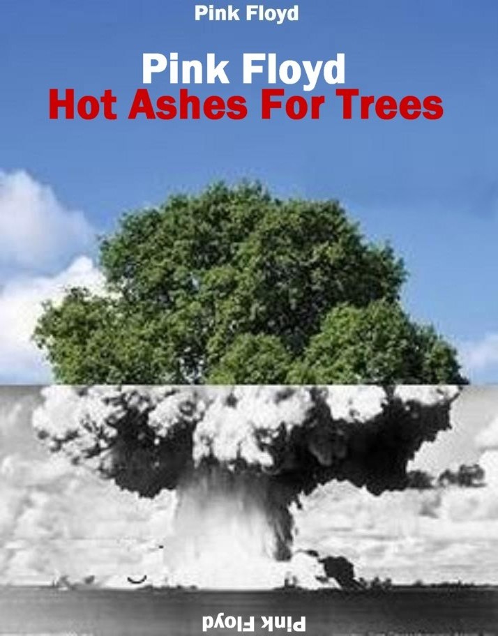 1977-02-01-Hot_Ashes_for_trees-front